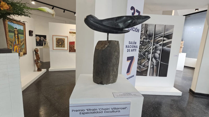 Ganadores del Salón Nacional de Artes 7 de Diciembre cuentan su historia