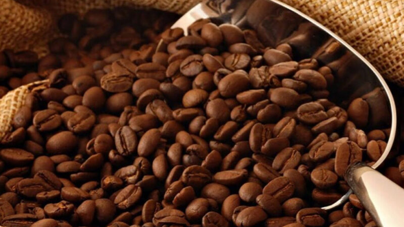 Más de 86 mil kilos de café aportó municipio Acosta de Monagas para distribución nacional