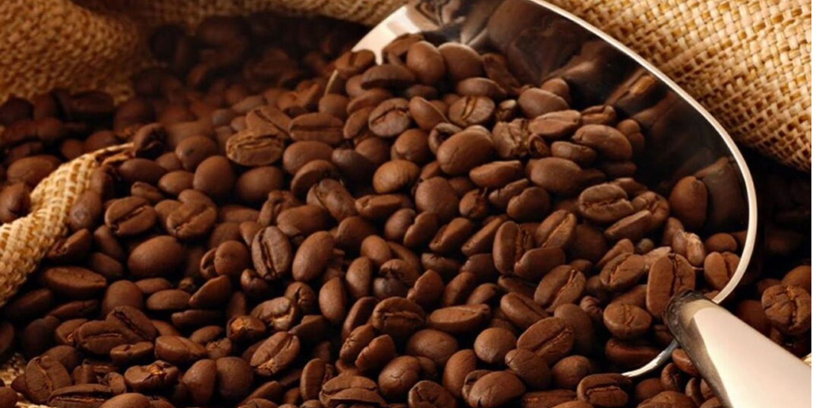 Más de 86 mil kilos de café aportó municipio Acosta de Monagas para distribución nacional