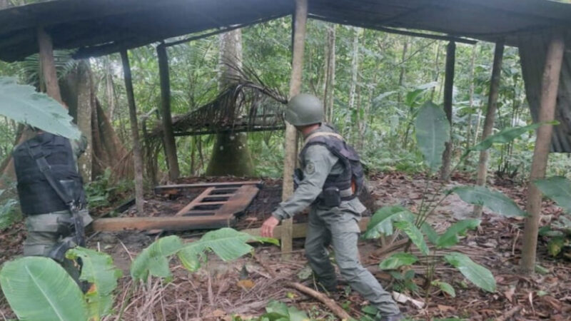 Reportan 36 delincuentes abatidos en Guárico