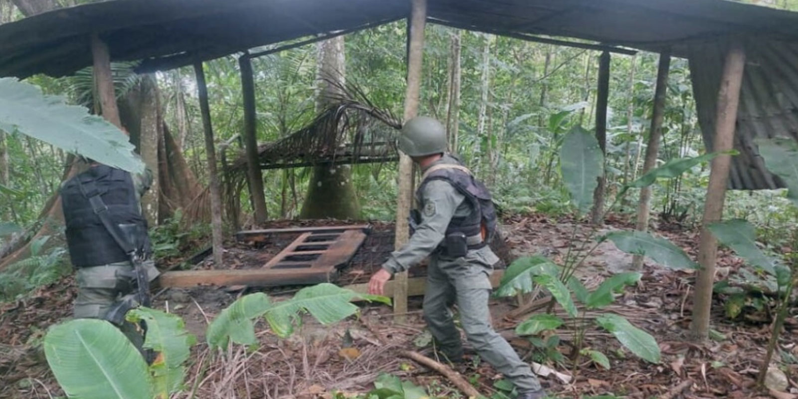 Reportan 36 delincuentes abatidos en Guárico