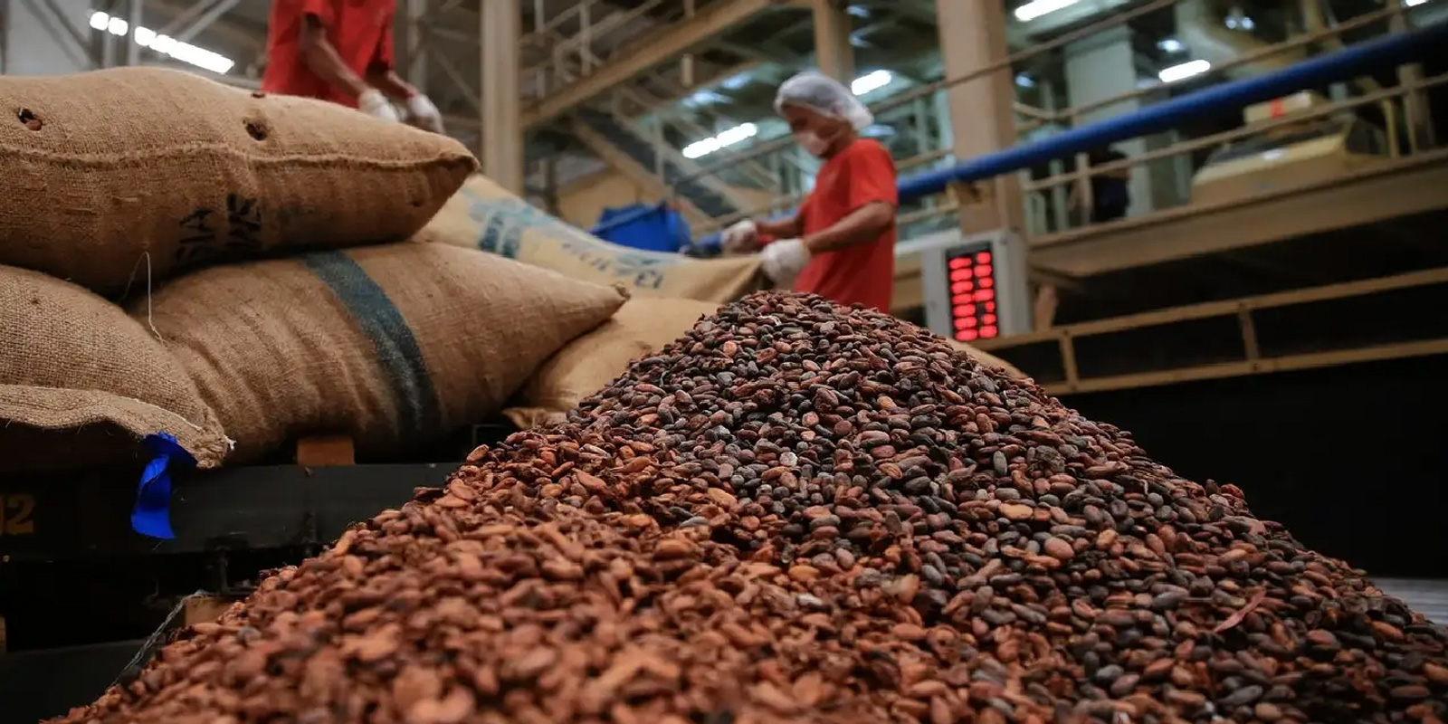 Productores de Sucre solicitan exonerar aranceles de exportación al cacao y café