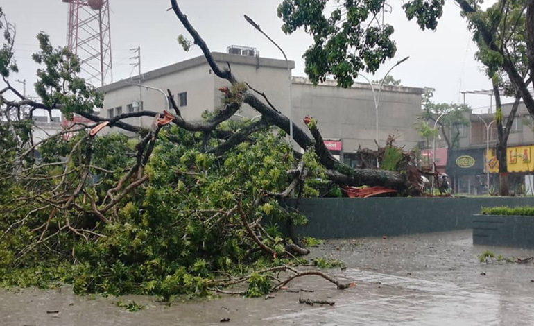 Lluvias con ráfagas de viento en Maturín provocaron caída de árboles y anegaciones en diversas vías